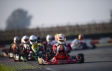 Cremona - Round 8, Report 